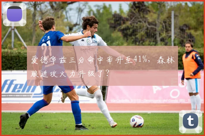 爱德华兹三分命中率升至41%,森林狼进攻火力升级了?